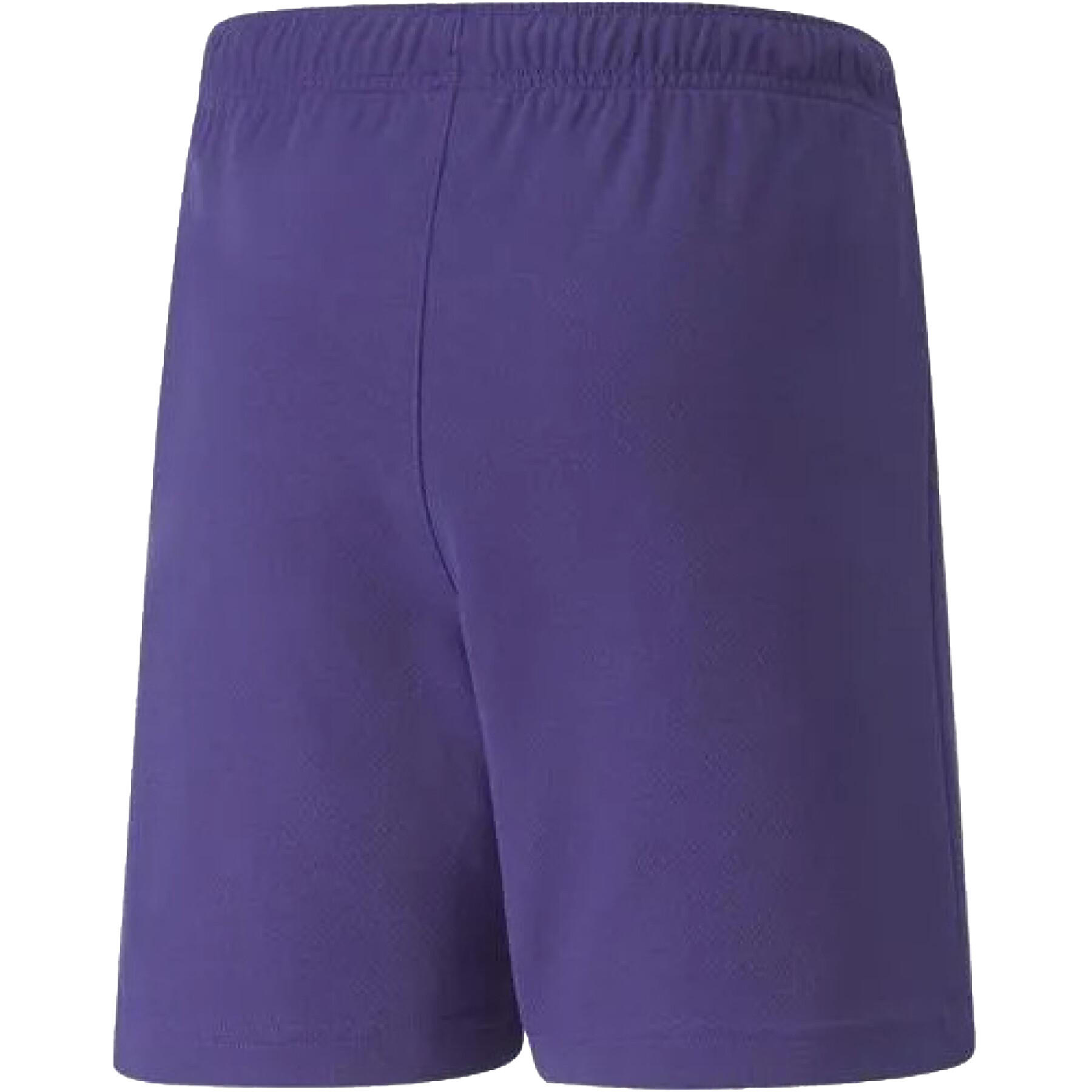 TeamRISE Pantaloncini Bambini Puma Violetto 2/4