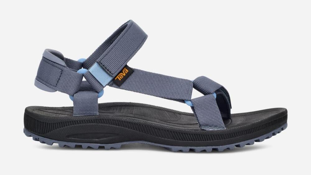 TEVA picture