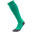 Chaussettes De Foot TEAM LIGA (Vert)