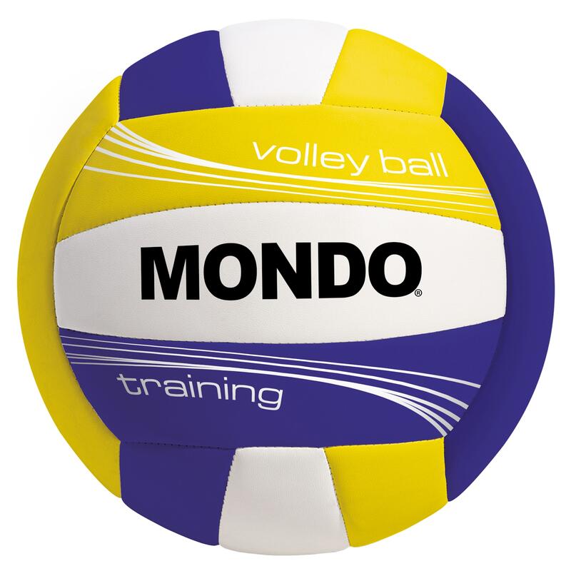 Volejbalový míč Training Indoor