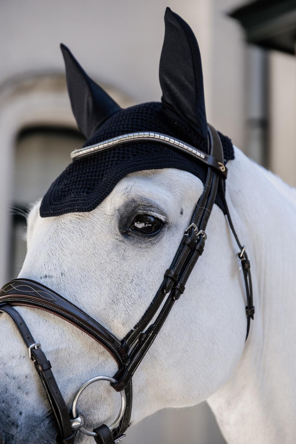 Oornetje Wellington zwart pony 2/2