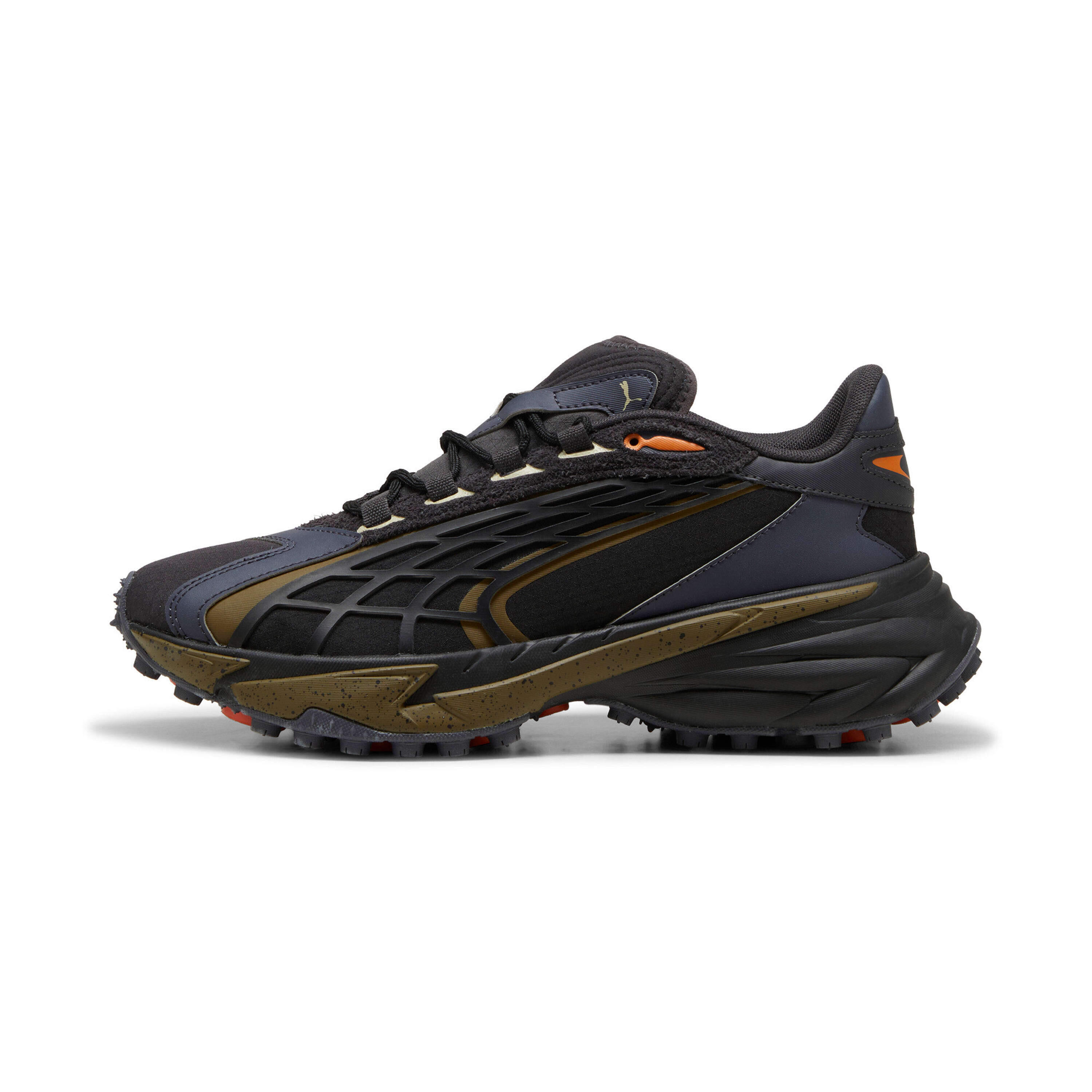 PUMA picture