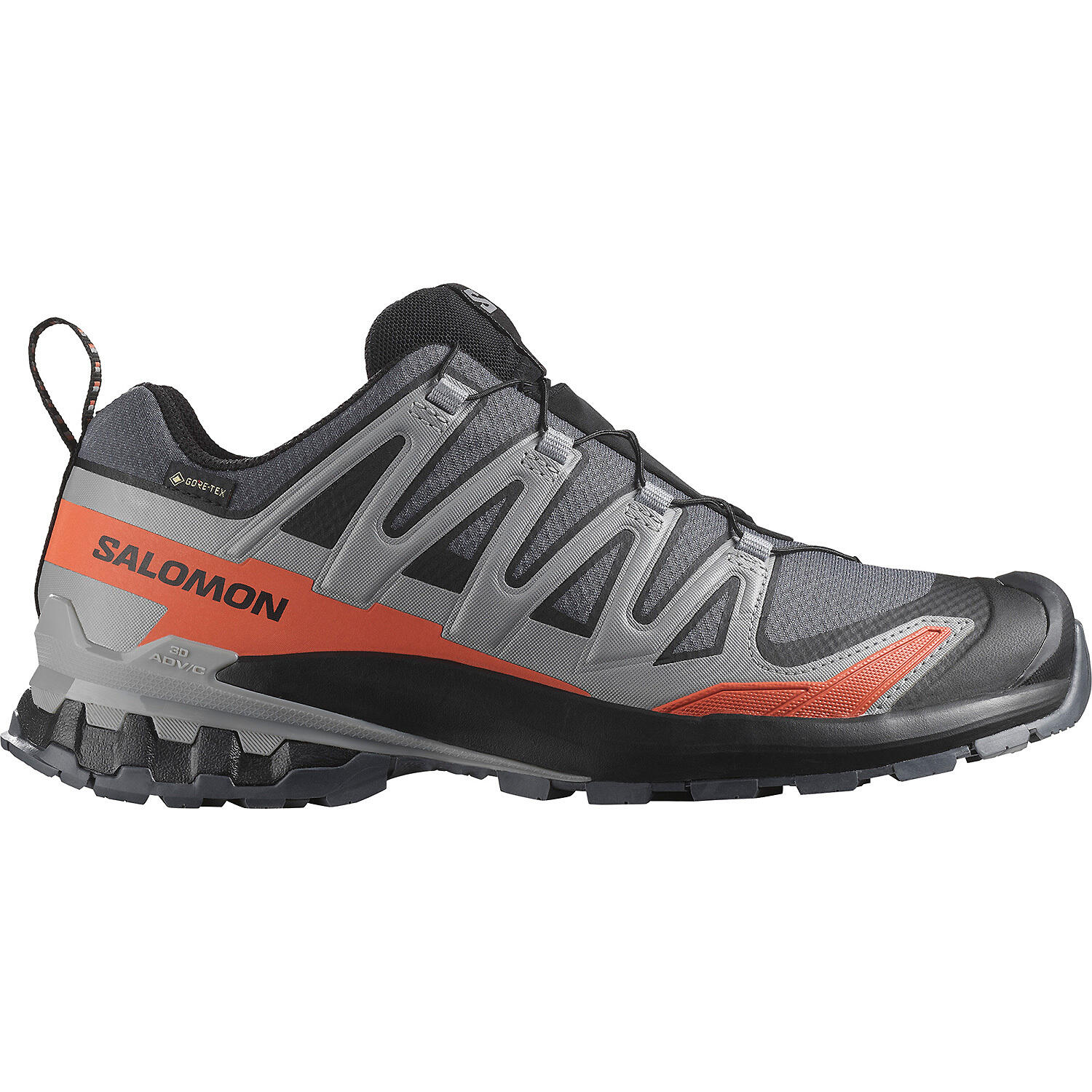 SALOMON picture