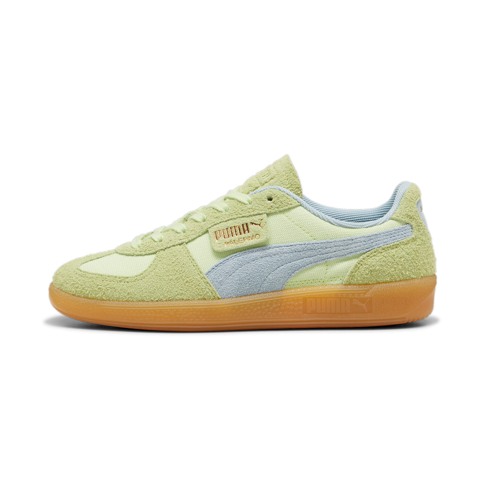 PUMA picture