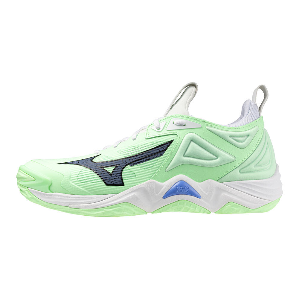MIZUNO Handball Shoes Mizuno Wave Momentum