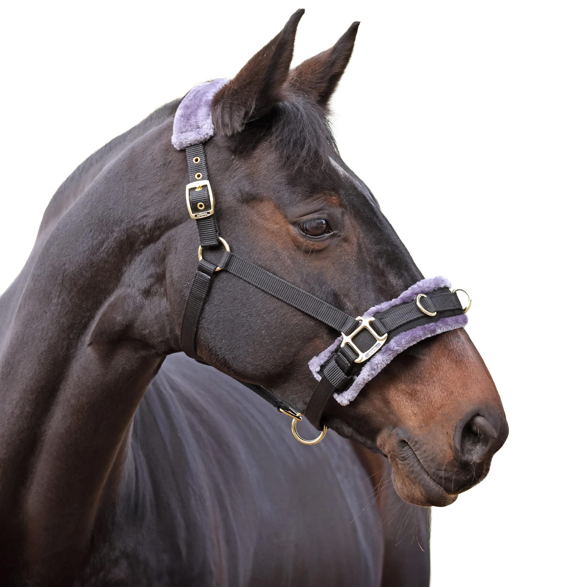 Peluche Cavezza Per Affondo Del Cavallo Shires Nero 3/3
