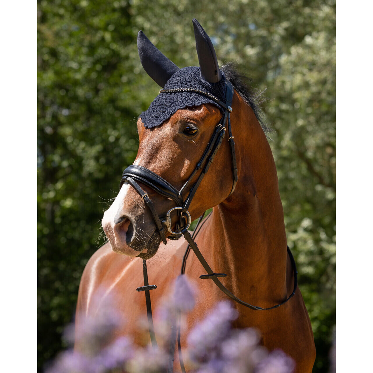 Korte paardenmuts QHP Flore 2/4