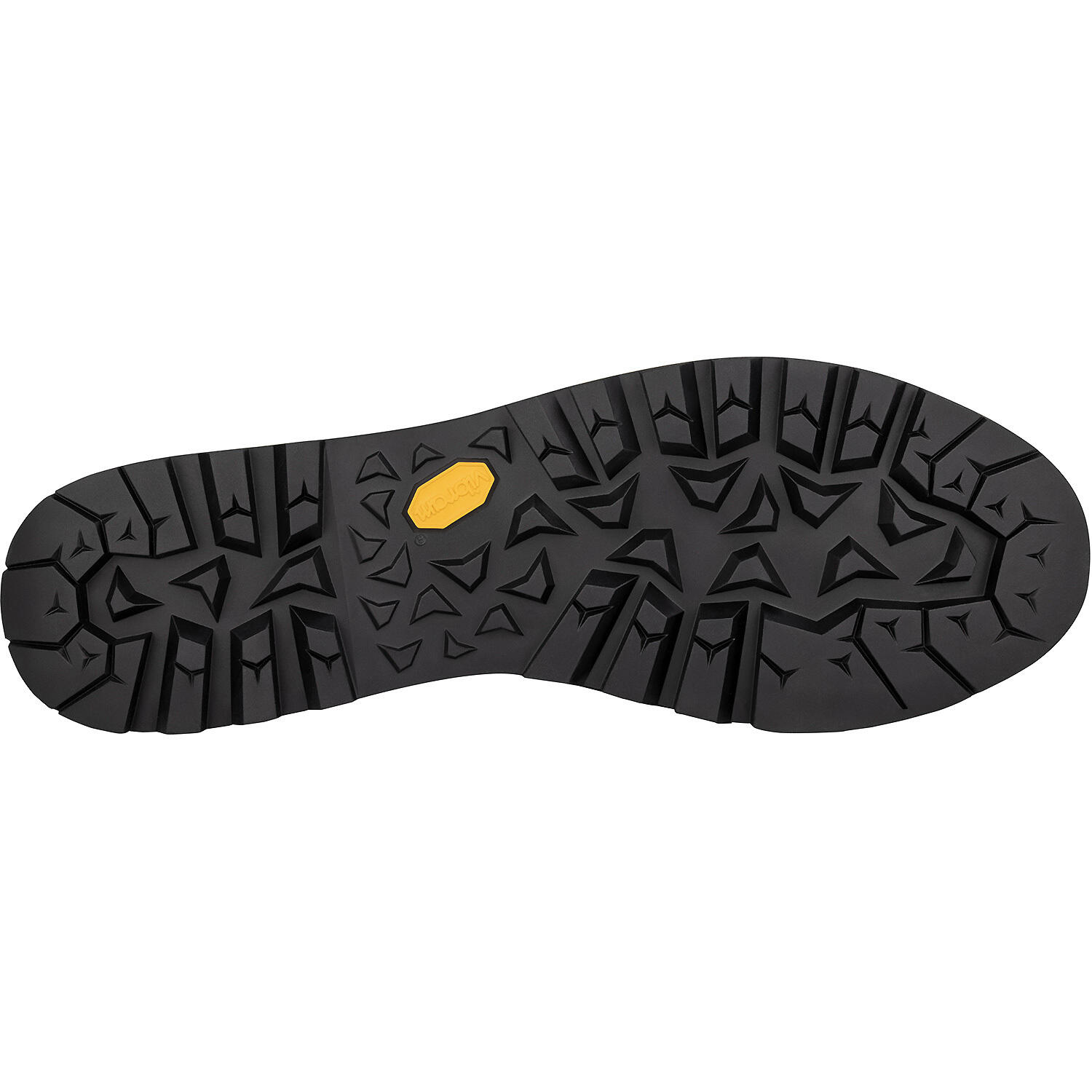 Herren Bergstiefel TICAM EVO GTX 4/5