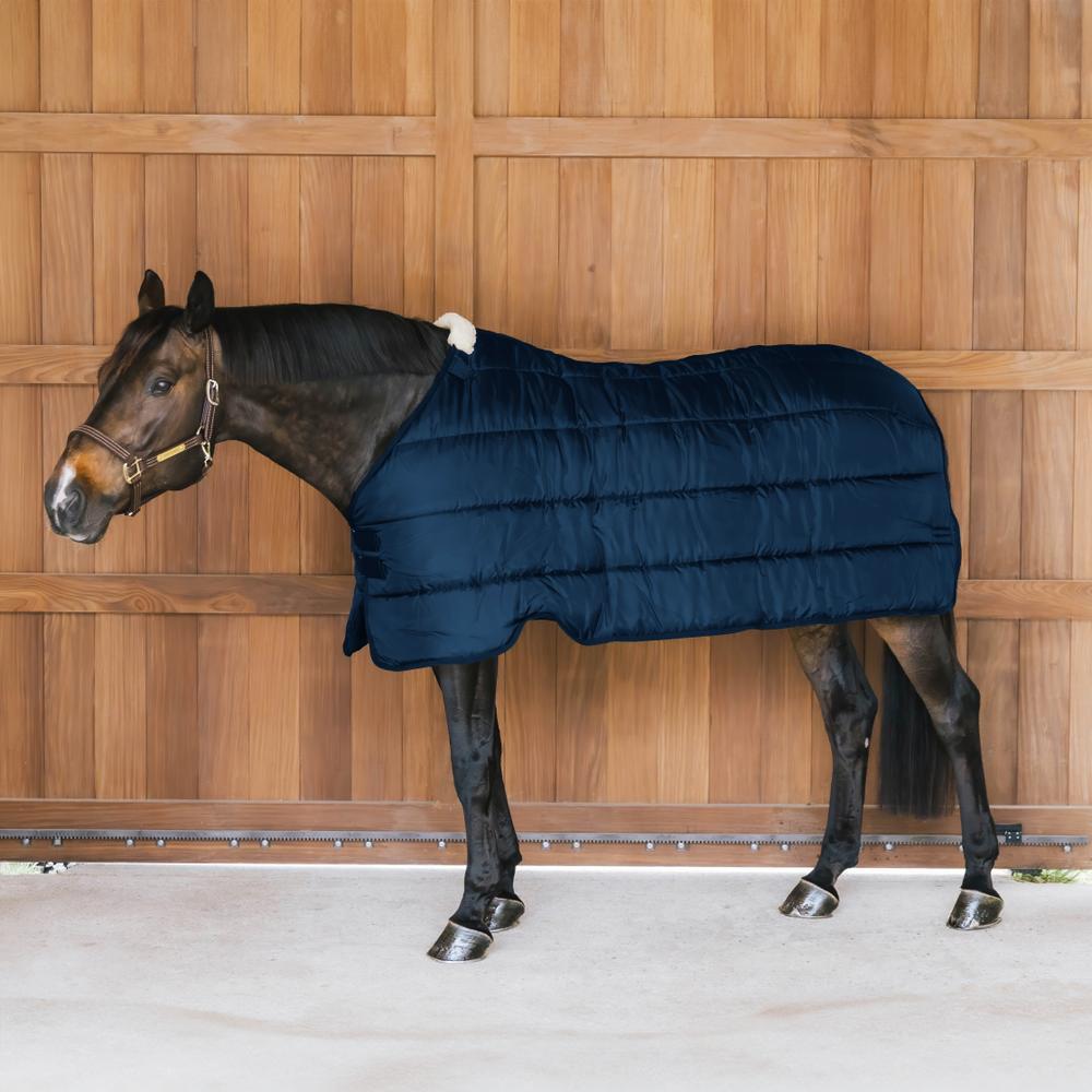 Coperta da paddock per cavalli Kentucky 100g 2/4