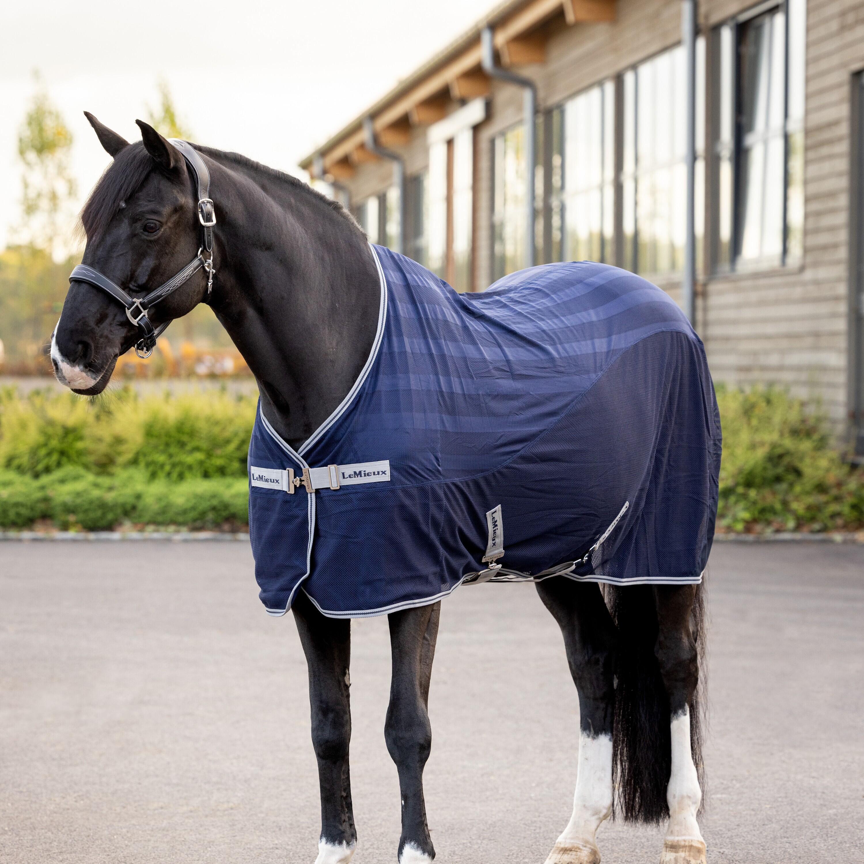 LeMieux - Chemise séchante Arika Air-Tek marine - Soins des Chevaux à