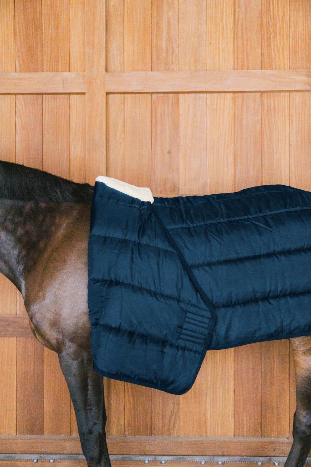 Coperta da paddock per cavalli Kentucky 400g 2/4