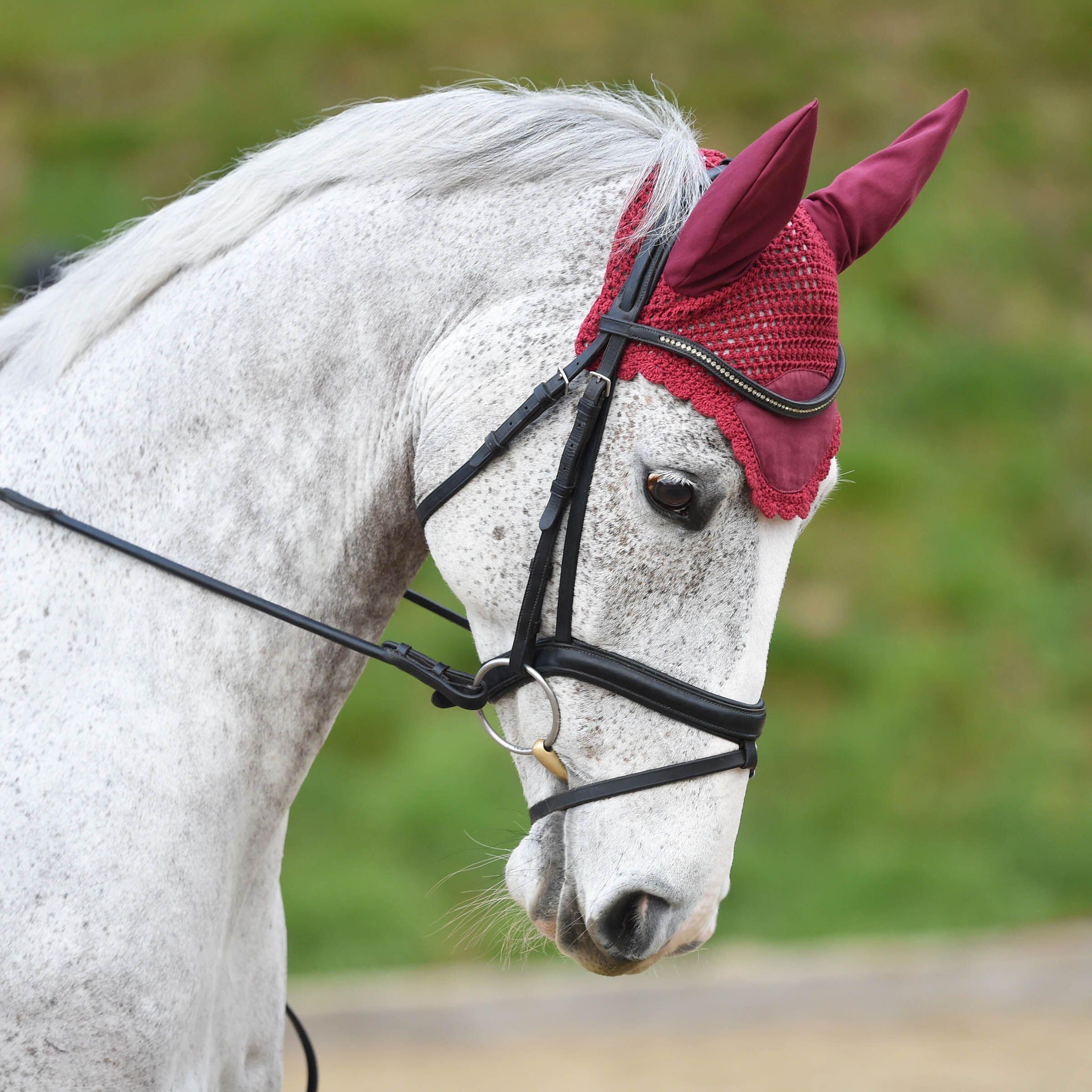 Bonnet pour cheval Weatherbeeta Prime - royal blue - Poney
