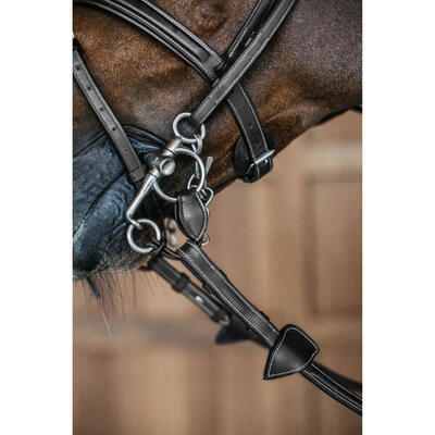 Allianz für Gebisse Dy'on Pelham