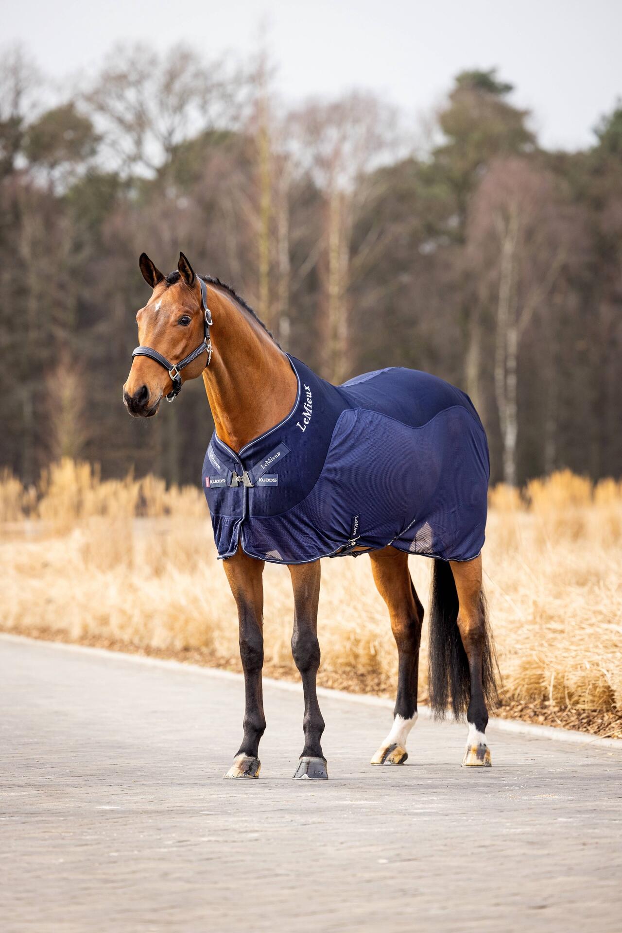 LEMIEUX Lemieux Kudos Mesh Sports Cooler Paardendeken Blauw