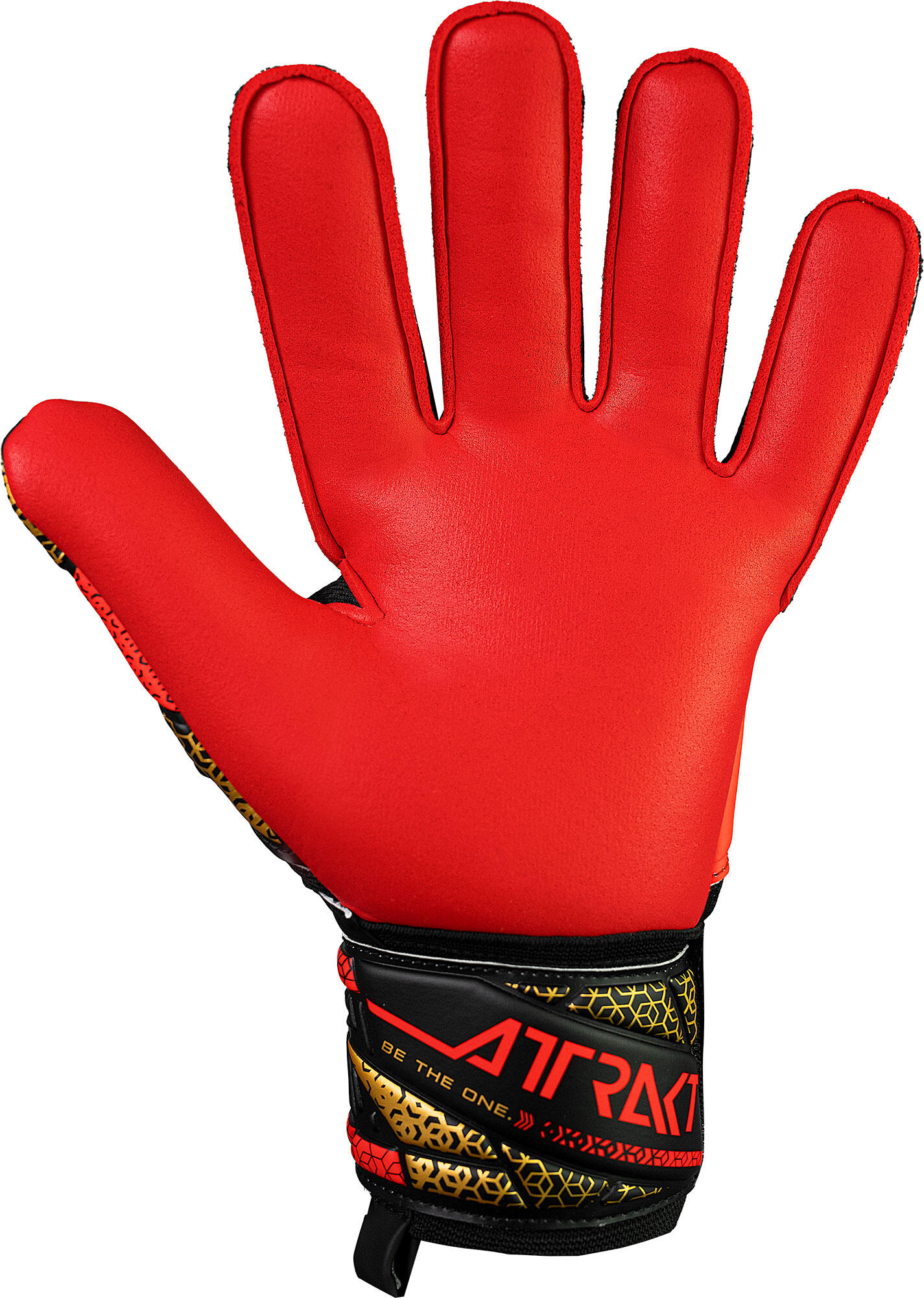 Gants de gardien de but Attrakt Silver 5/15