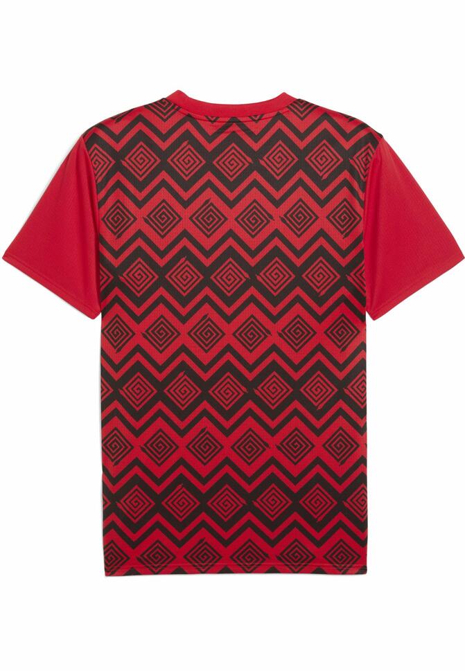 Męska koszulka przedmeczowa Egipt PUMA Red Black