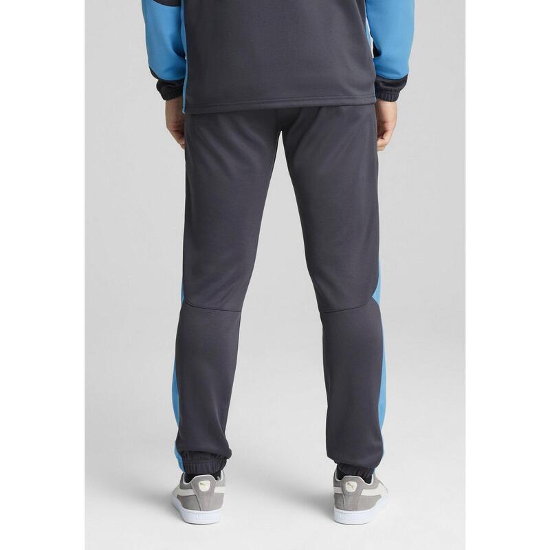 Olympique de Marseille ftblNRGY+ Pants Men PUMA Galactic Gray Team Gold Beige