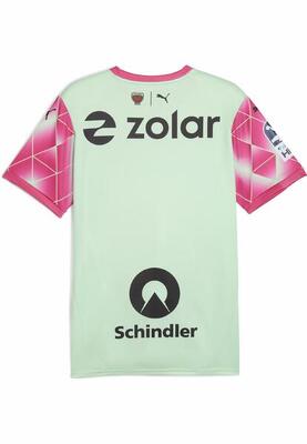 Füchse berlin 24/25 uitshirt voor heren puma fresh mint pink green