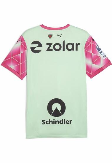 Füchse Berlin 24/25 uitshirt voor heren PUMA Fresh Mint Pink Green