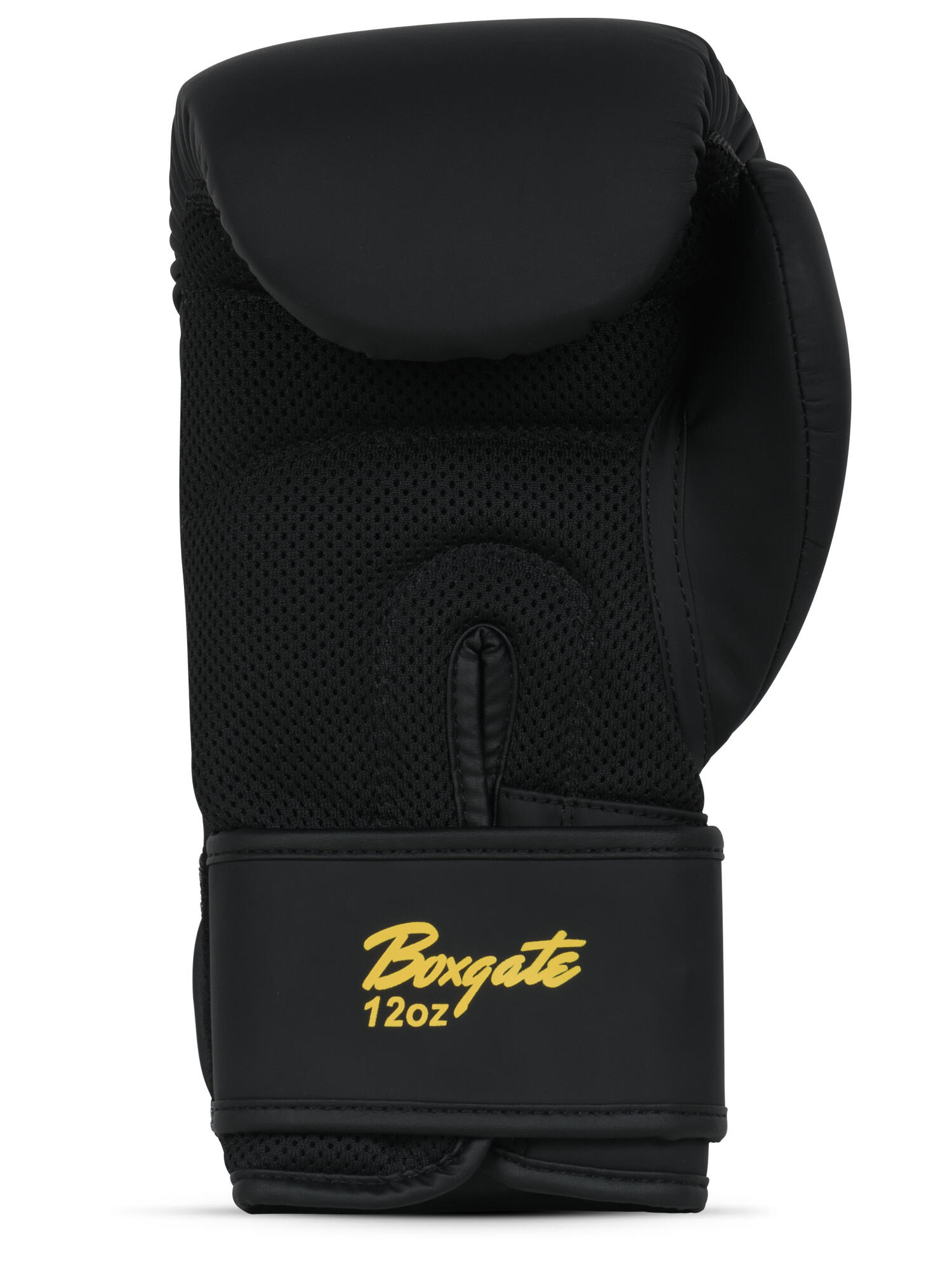 Kit per la boxe Benlee Starter 3/6