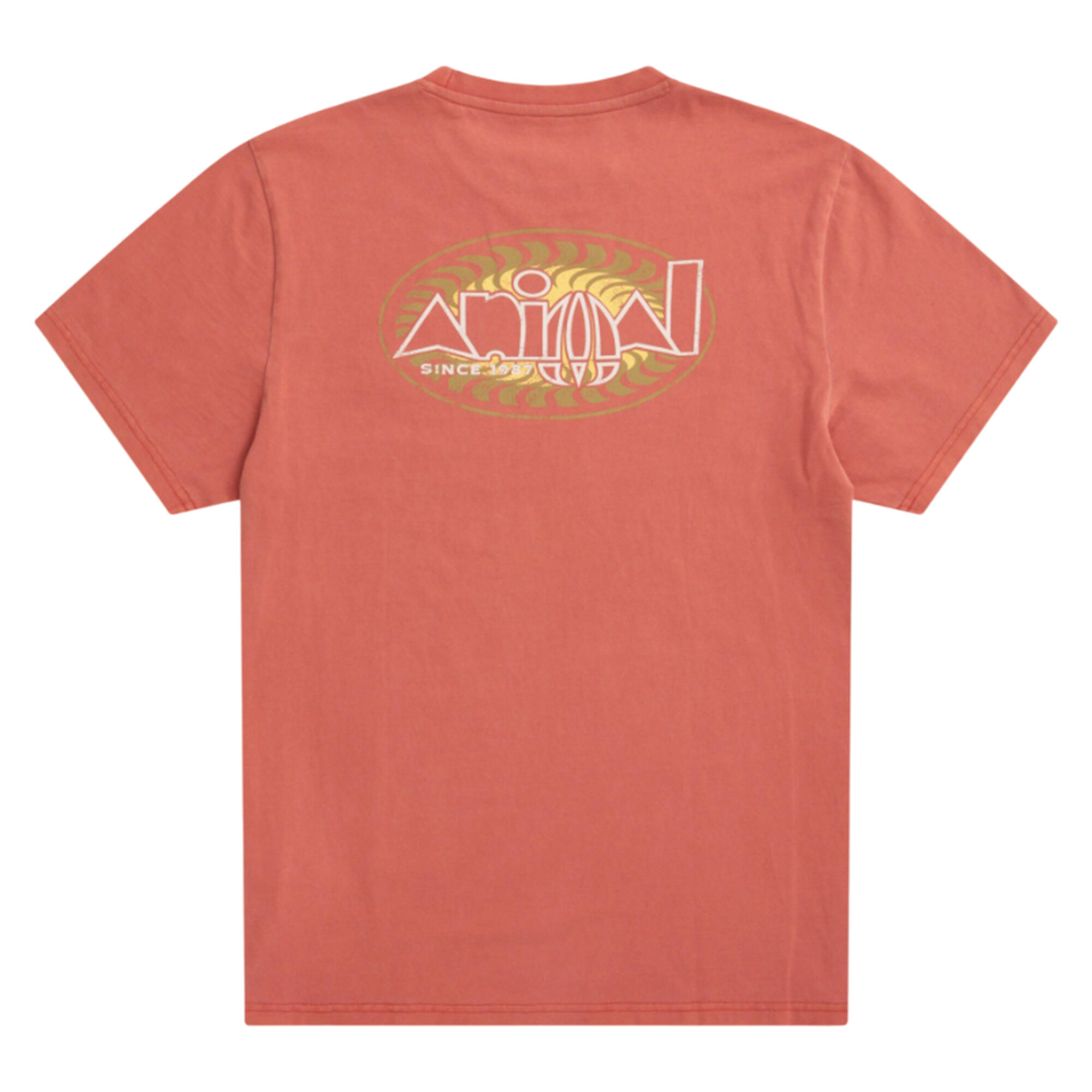 Mens Chase Relaxed Fit TShirt (Burnt Orange) 2/4