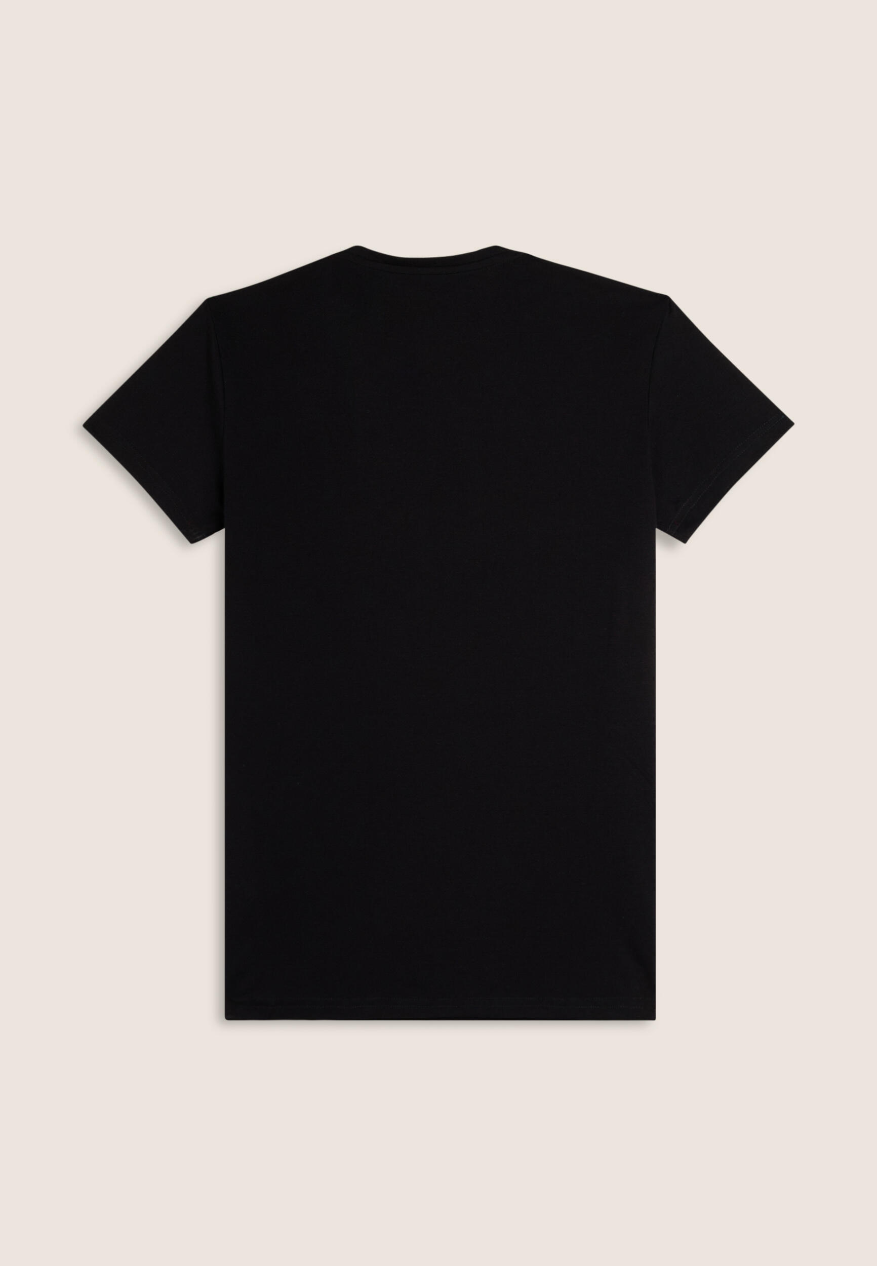T-shirt Uomo Regular Fit in Jersey Melangé con Logo Bicolore 2/3