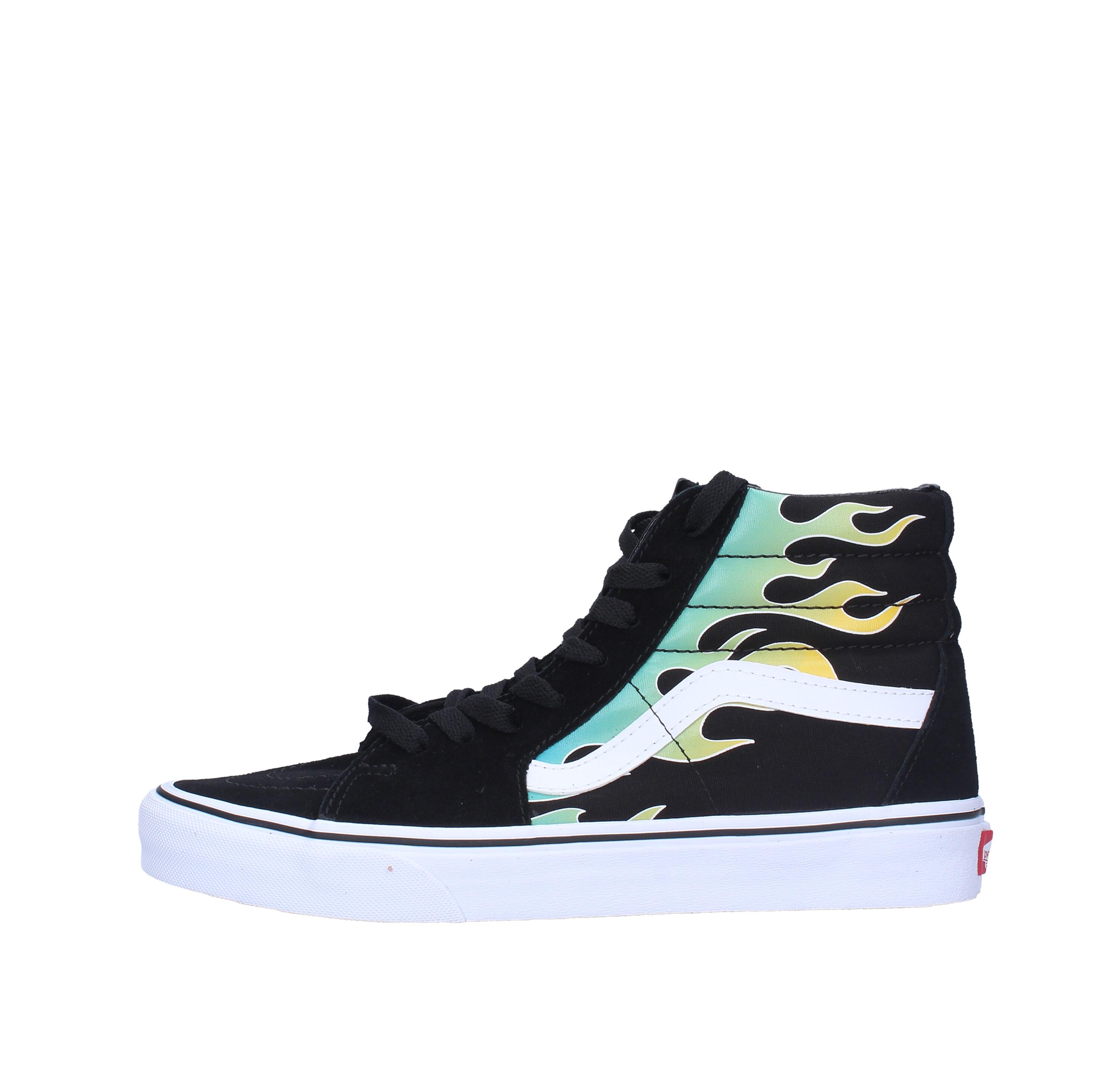 VANS picture