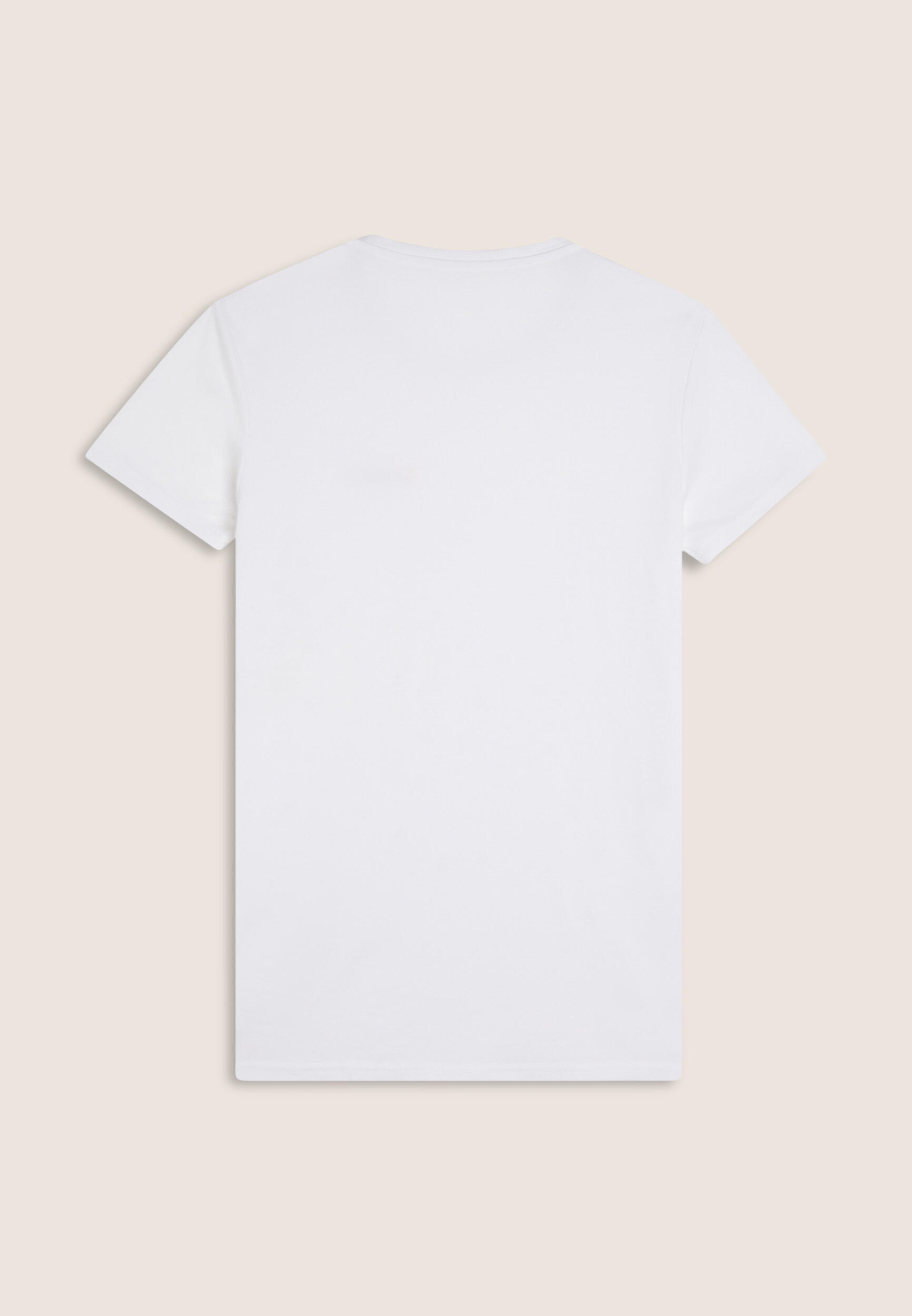T-shirt Uomo Regular Fit in Jersey Melangé con Logo Bicolore 2/3