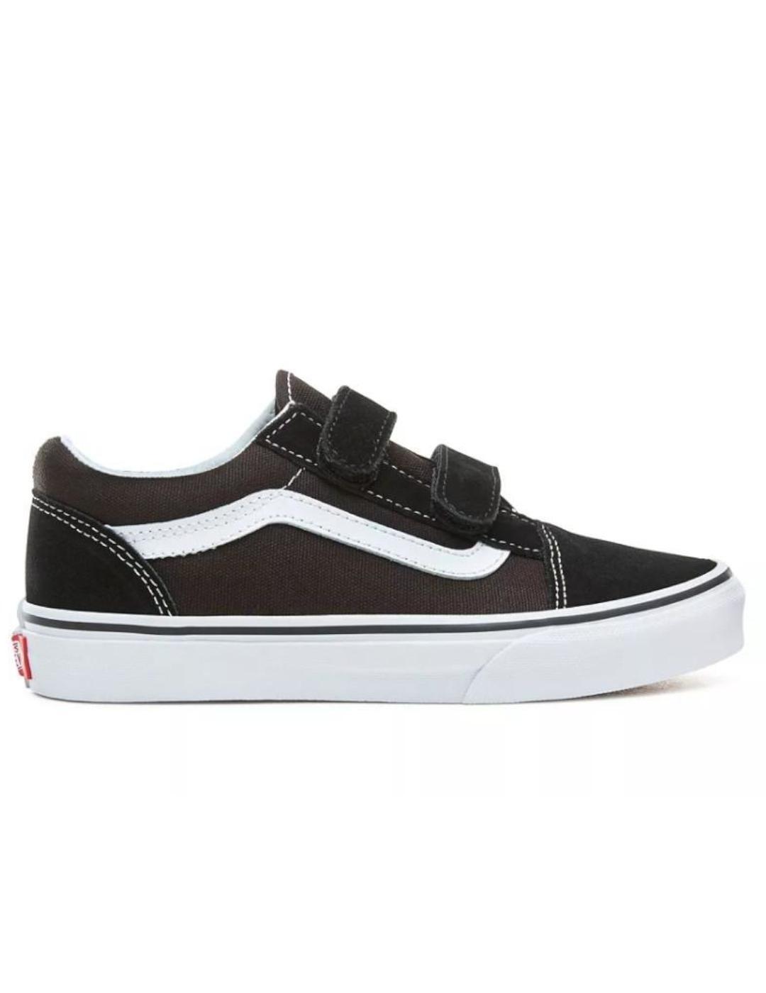 VANS picture