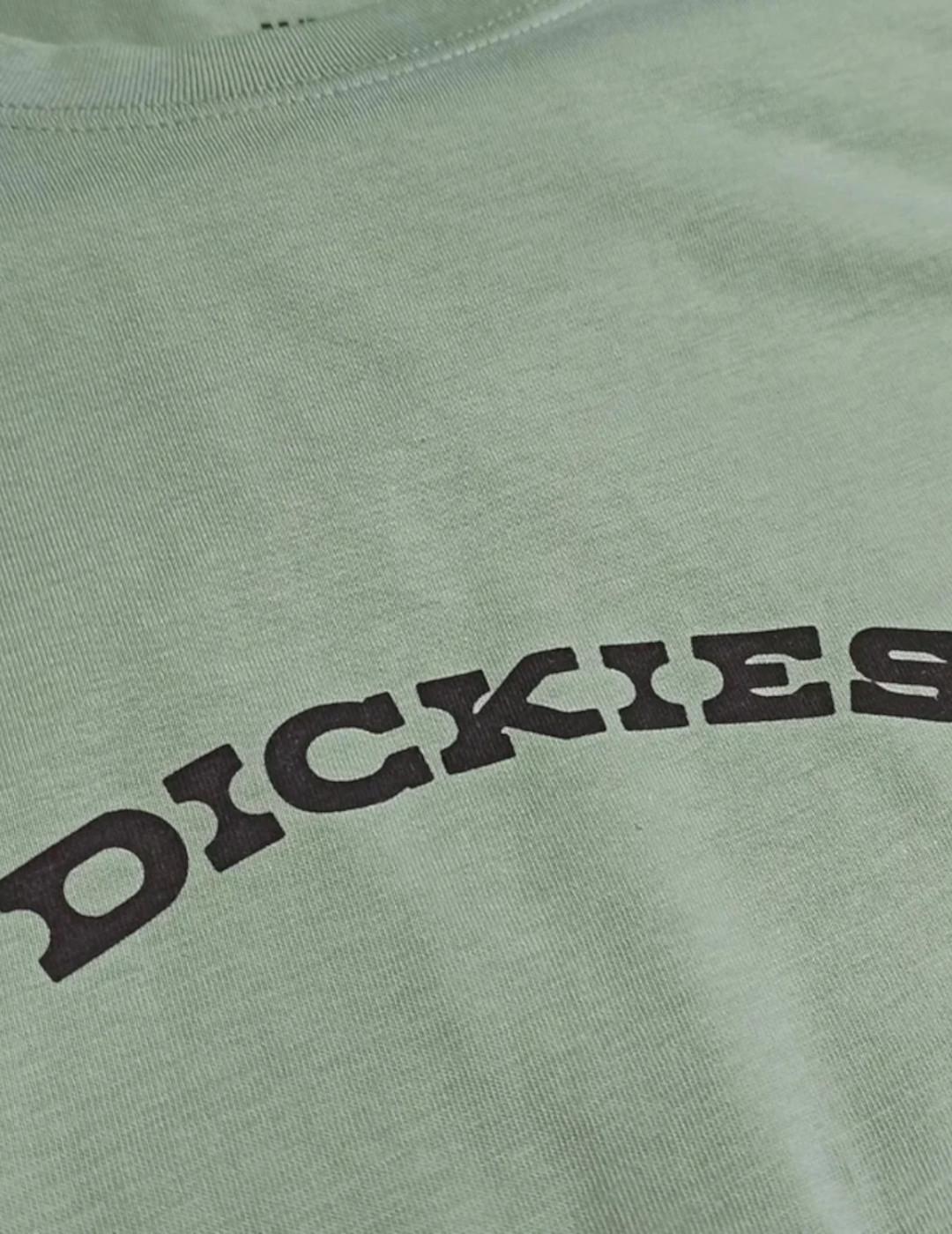 T-shirt pour Homme Dickies Outdoor egret Vert 3/5