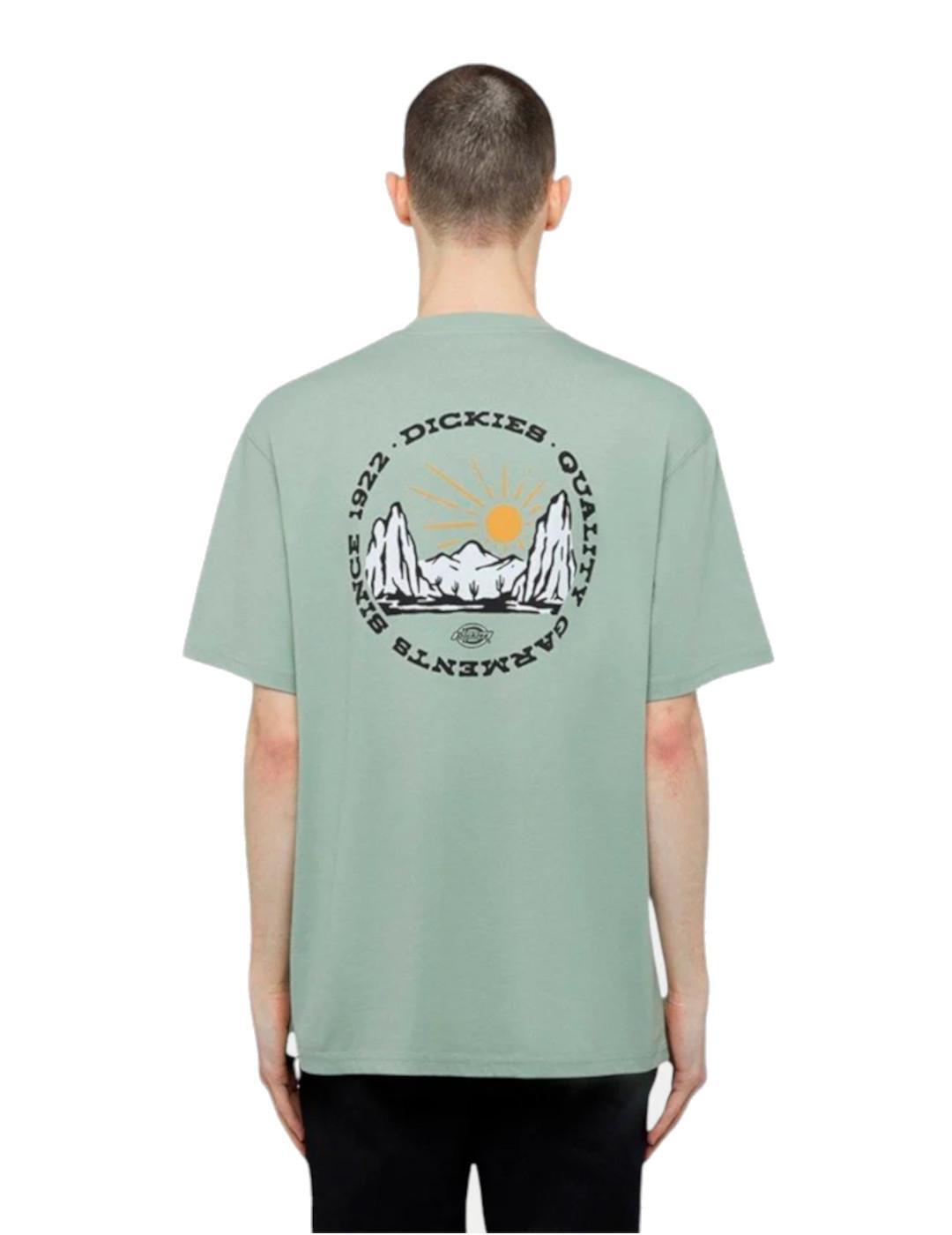 T-shirt pour Homme Dickies Outdoor egret Vert 2/5