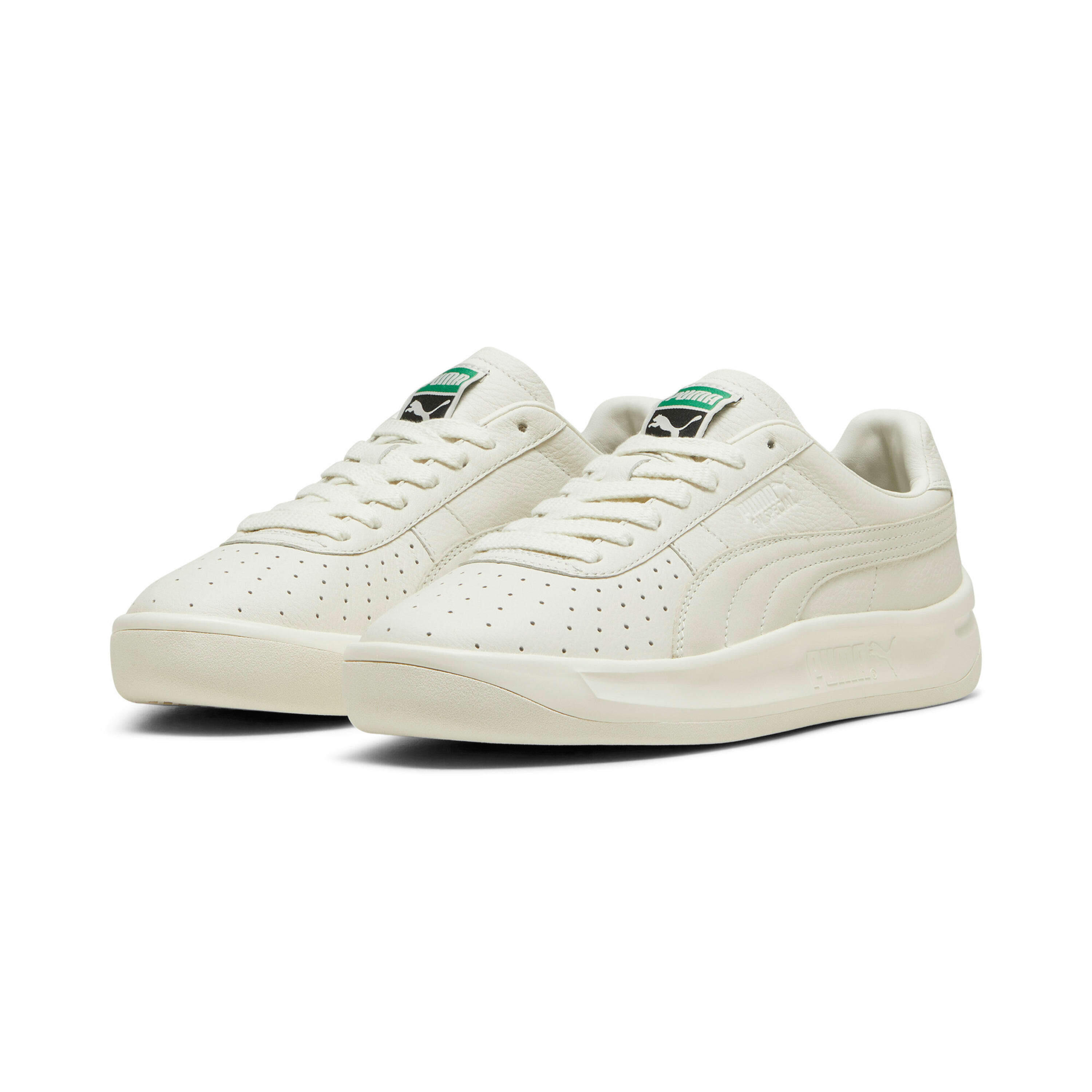 PUMA picture