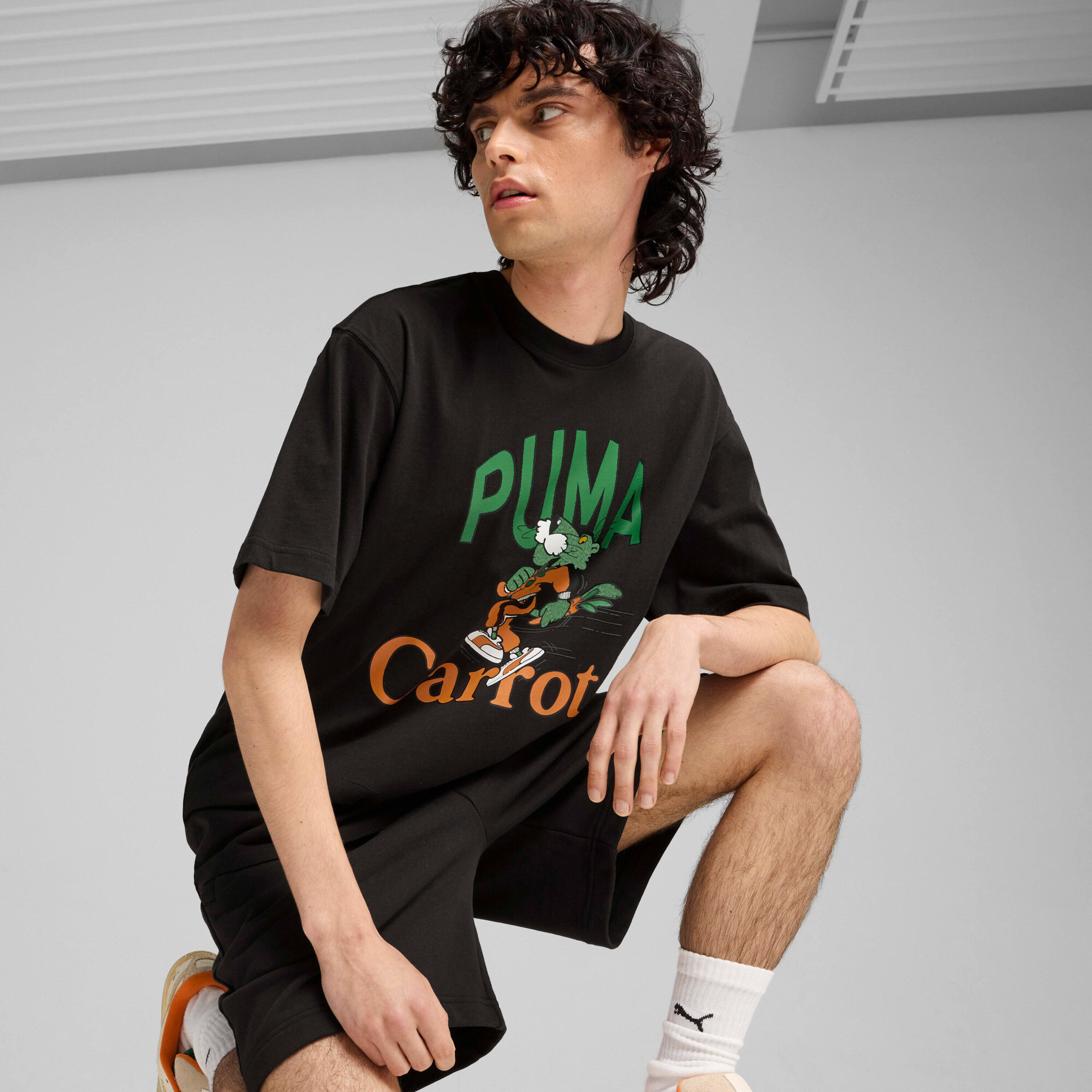 PUMA picture