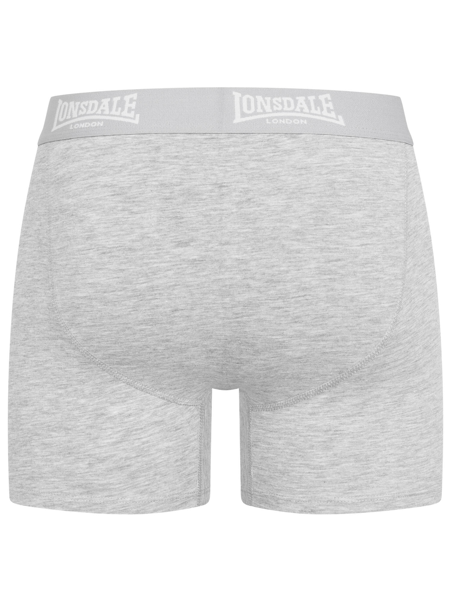 Boxer Lonsdale East Challow (x4) 4/5
