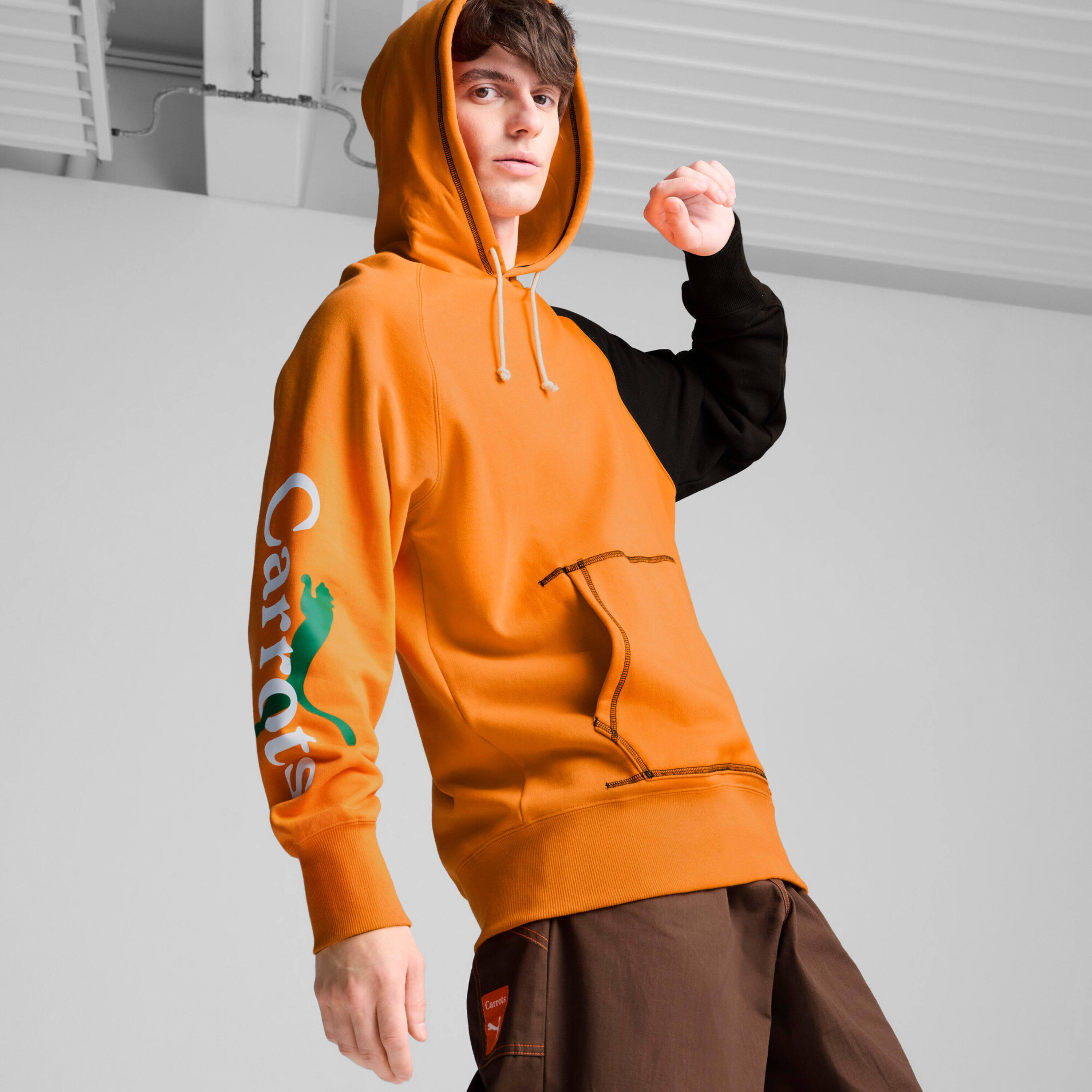 PUMA picture