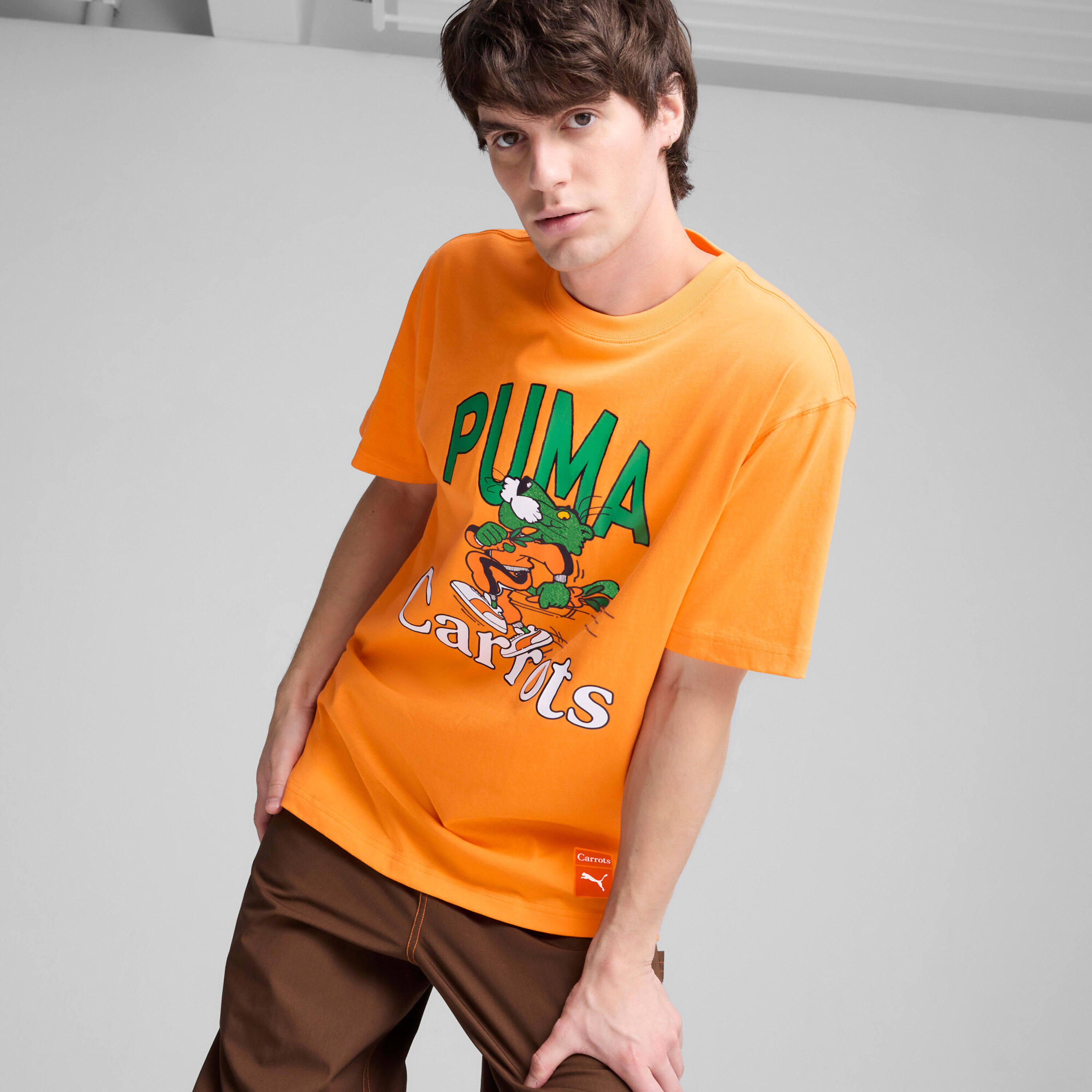 PUMA picture