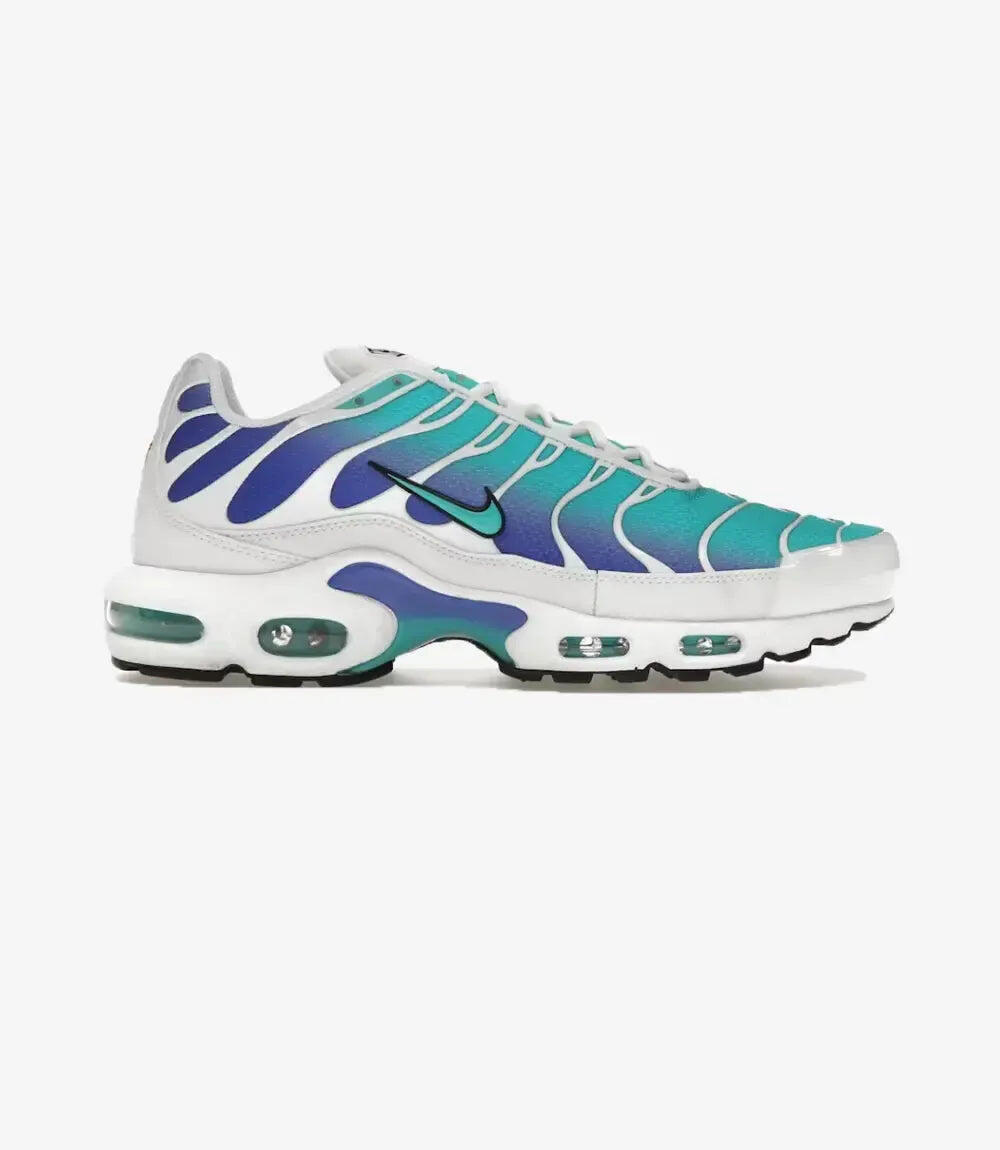 Nike Air Max Plus Aqua 1/3