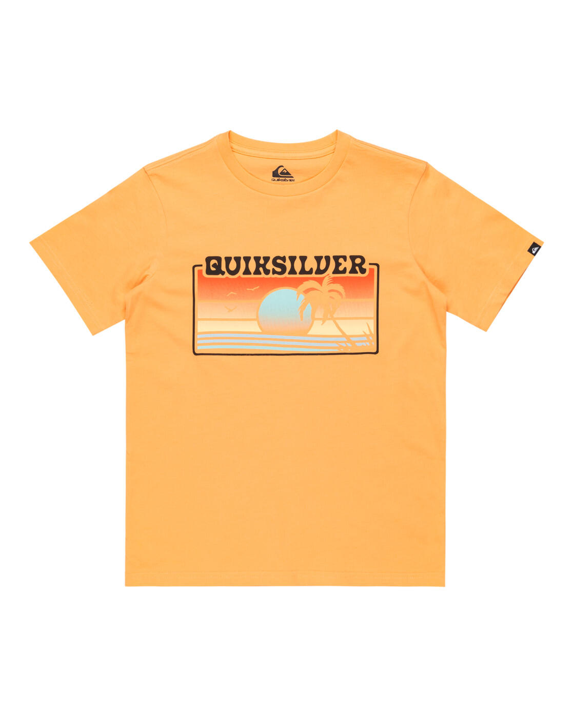 QUIKSILVER picture