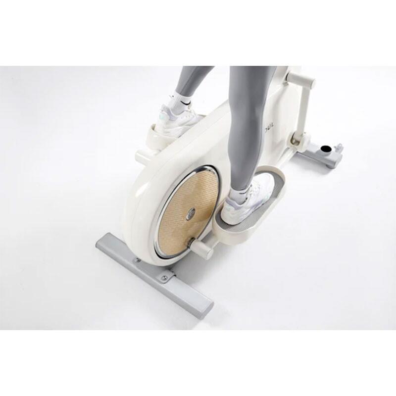 Bicicleta magnetica eliptica YESOUL Elliptical Machine EF25EV