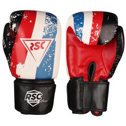 Gants de Boxe PU HIT RSC Blanc-Bleu-Rouge