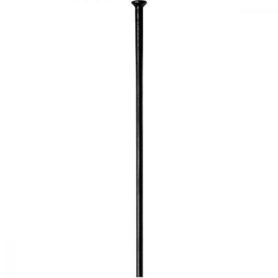 DT SWISS Speiche Dt Champion Straightpull 2.0 240 Ve100 Schwarz
