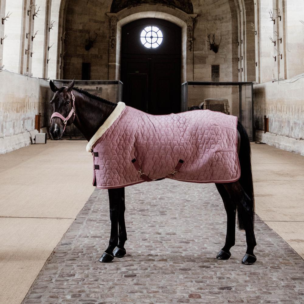 Manta de apresentação para cavalos Kentucky Velvet 160 g 4/5