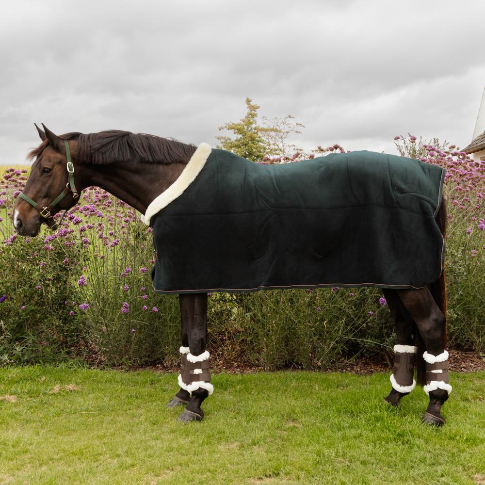 Coperta di presentazione per cavalli Kentucky Show Heavy 4/7