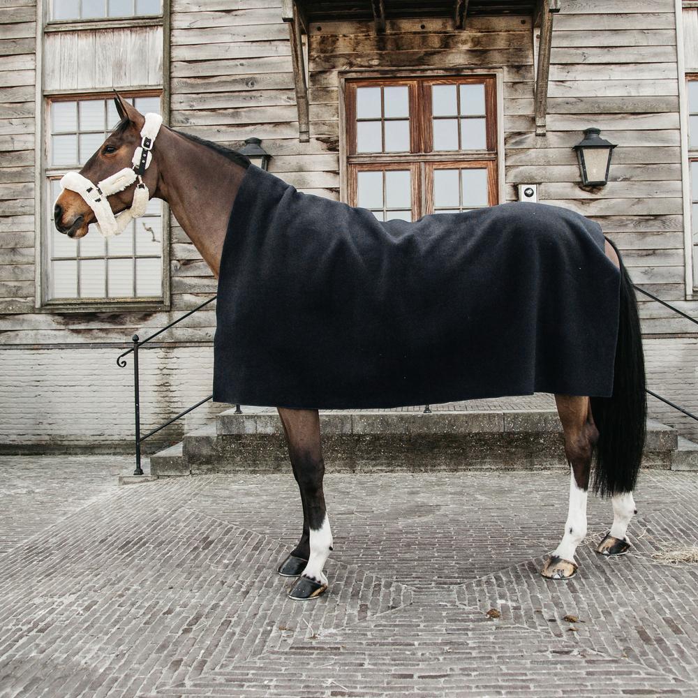 Coperta asciugante per cavalli Kentucky 5/7