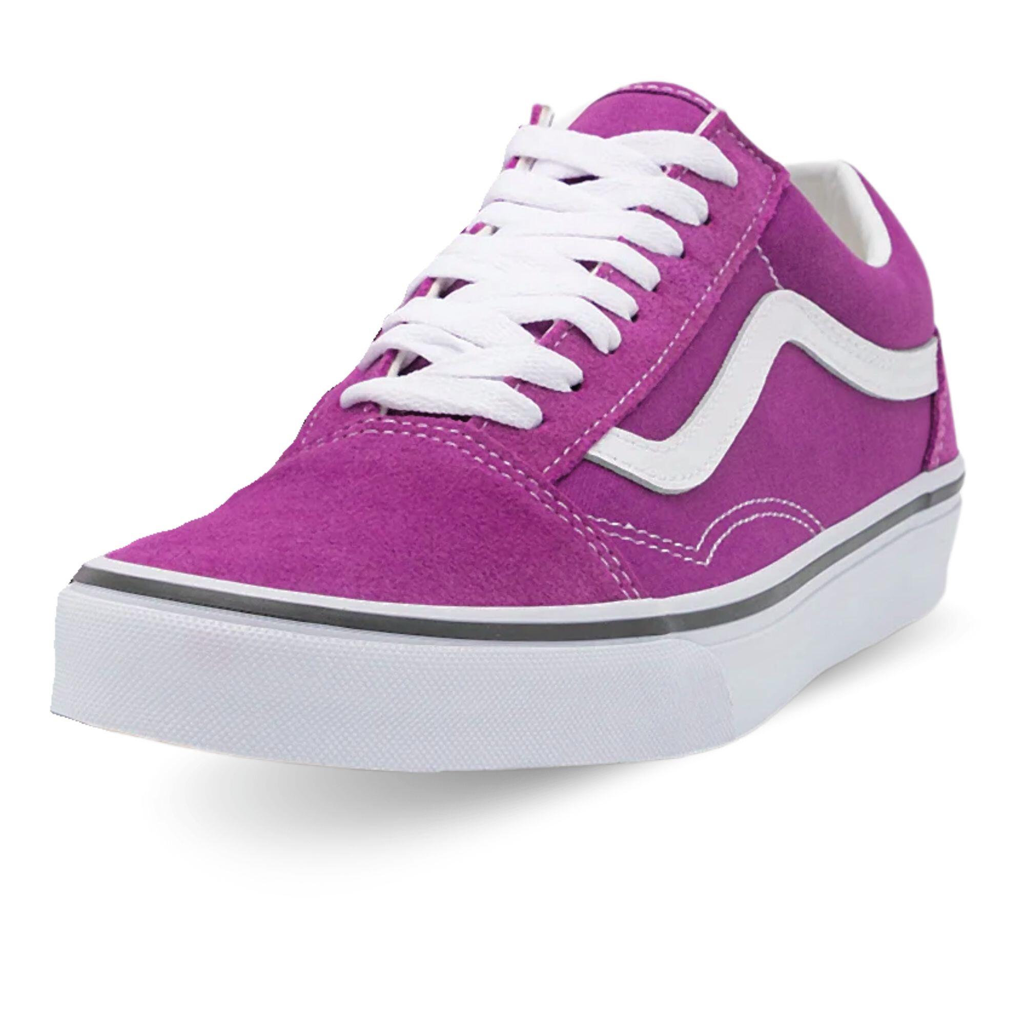 VANS picture