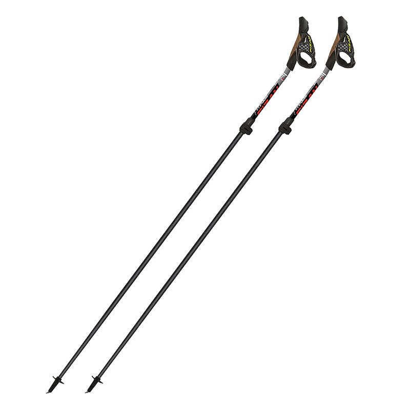 Kije nordic walking Fizan Tekno Race Impulse