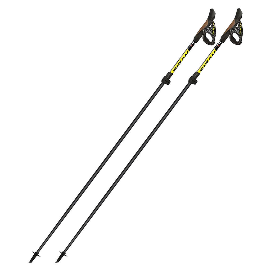 Nordic Walking Poles Fizan Tekno Race
