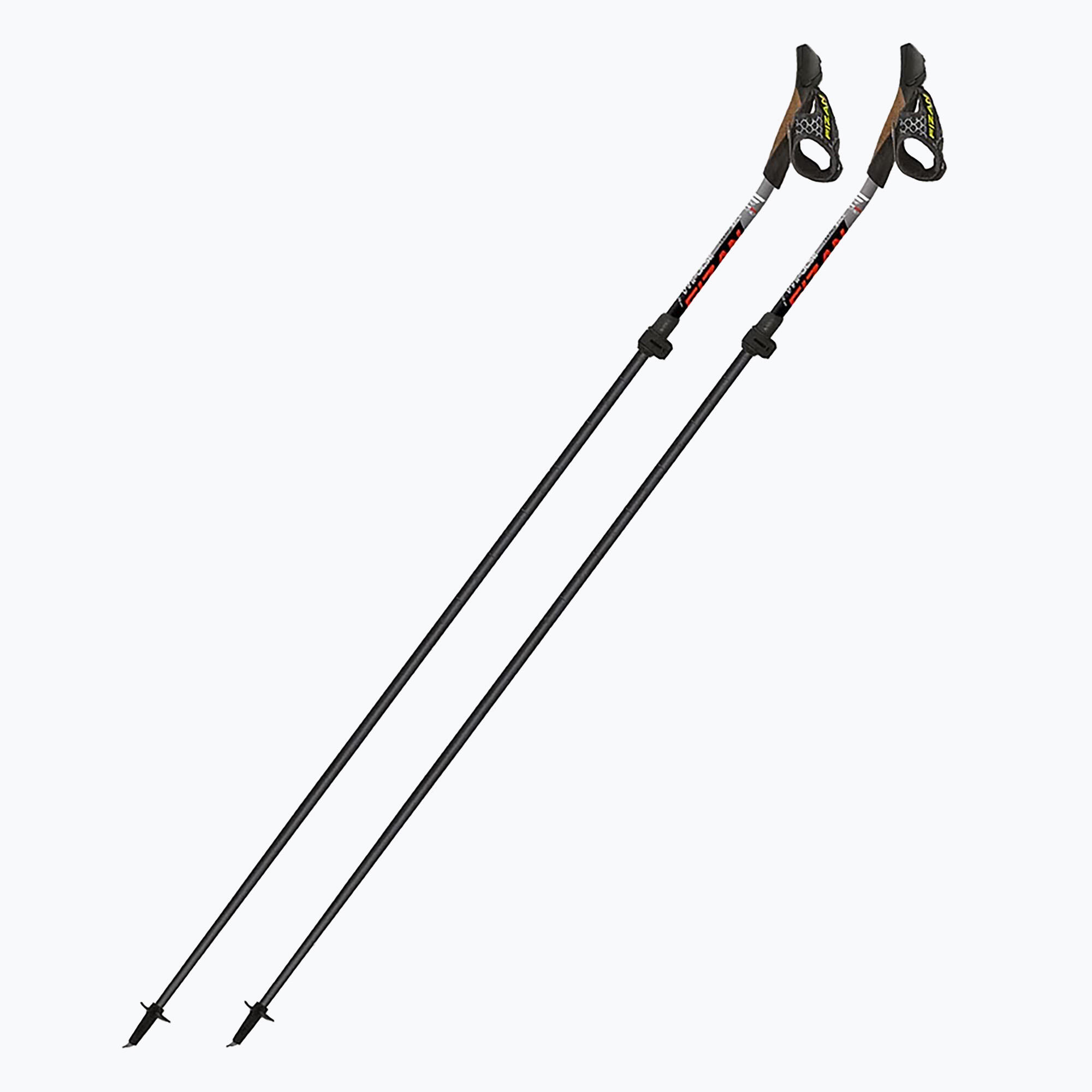 Kije nordic walking Fizan Tekno Race Impulse 5/5