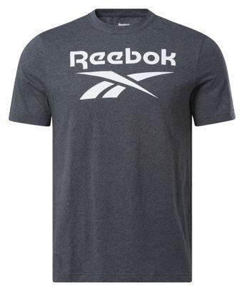 REEBOK Reebok Identity Big Logo T-Shirt grau