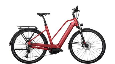 E-Bike Quadriga Comp CX11 E-City Trapez 53 cm Rot 28 Zoll